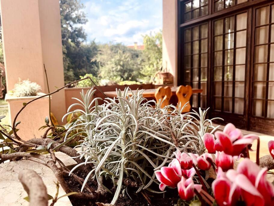 Apartament Raffinatezza Rustica Nella Campagna Veneziana Canton  Zewnętrze zdjęcie